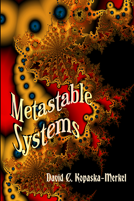 Cover of Metastable Systems by David Kopaska-Merkel