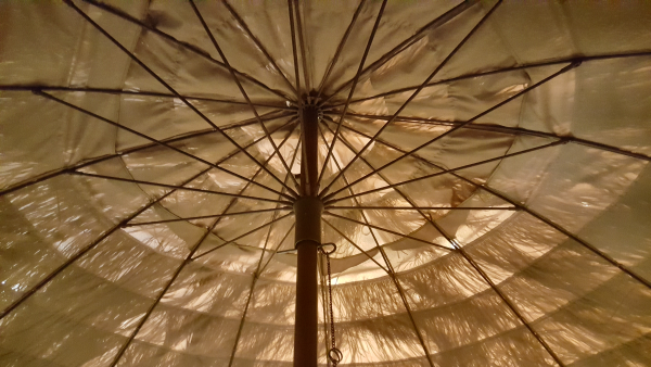 Umbrella Tree by John C. Mannone 1